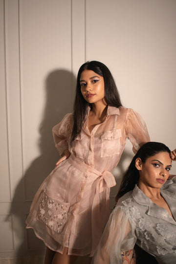 Embroidered Organza Shirt Dress & Foil Slip Dress