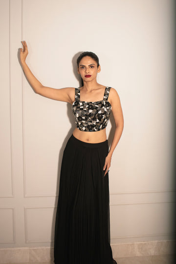 Embroidered Applique Blouse & Knife Pleated Skirt (without can-can)