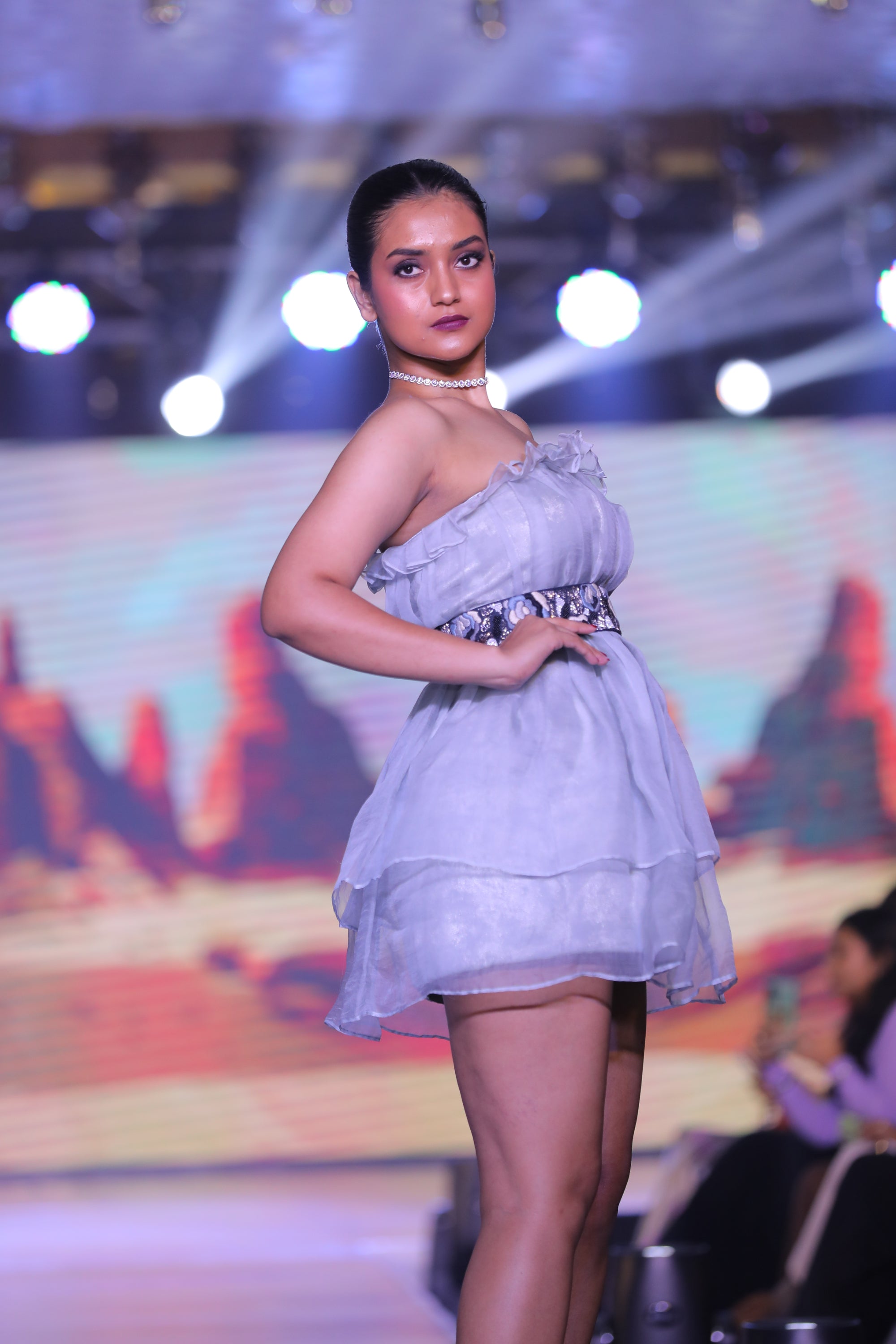 Pleated Organza Mini Dress & Hand-embroidered Belt