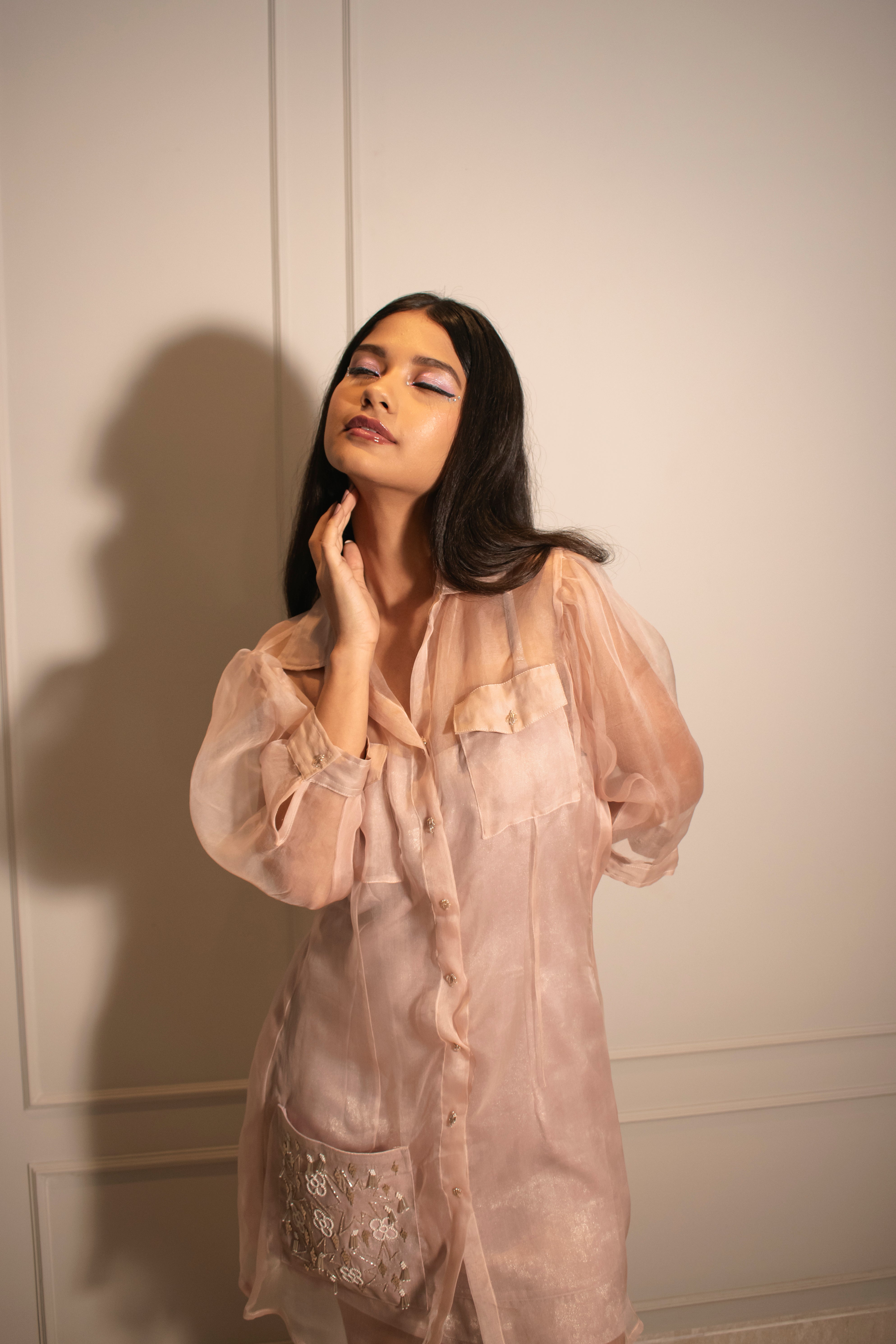 Embroidered Organza Shirt Dress & Foil Slip Dress