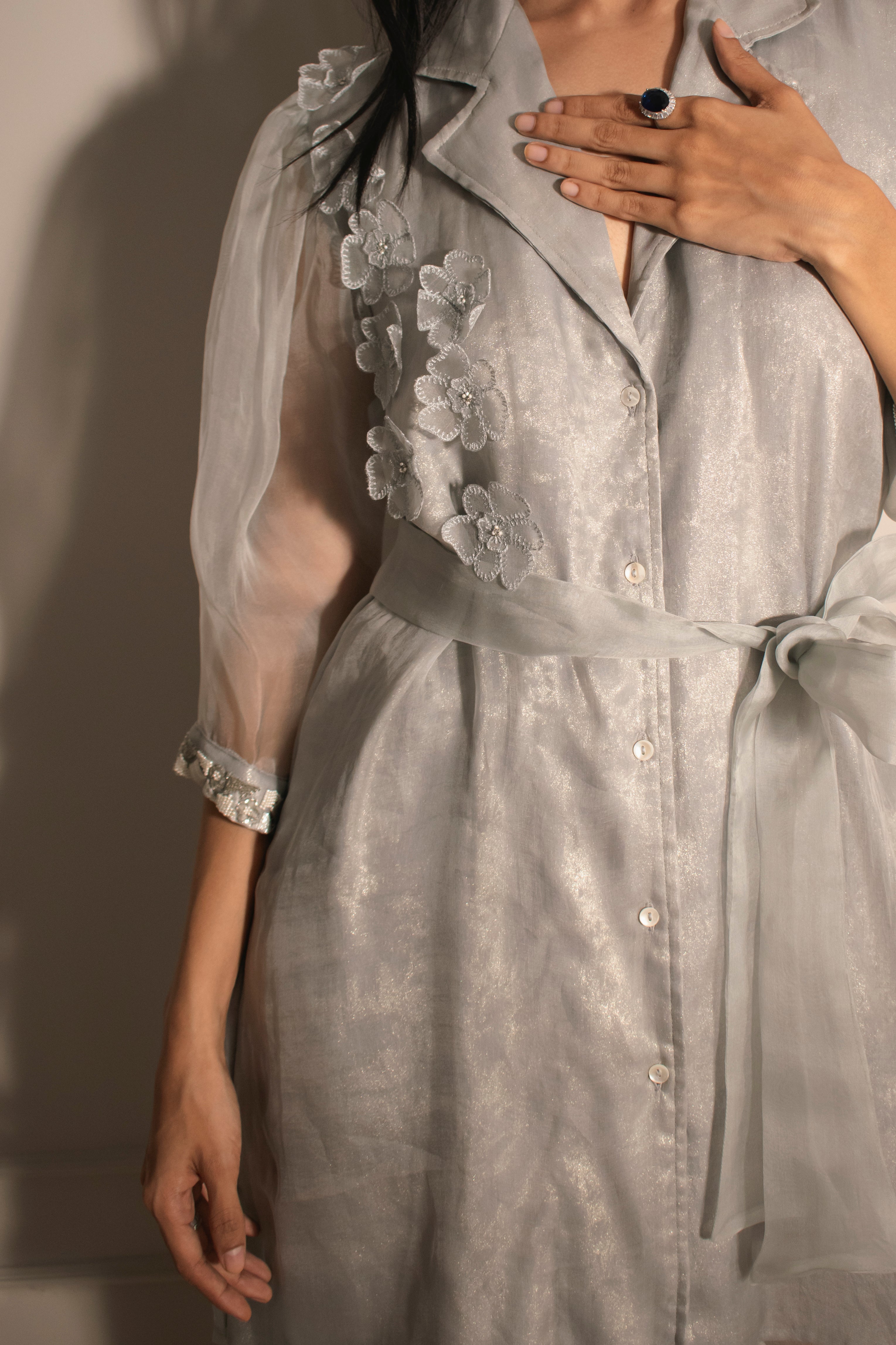 Organza Shirtdress With Applique Handwork