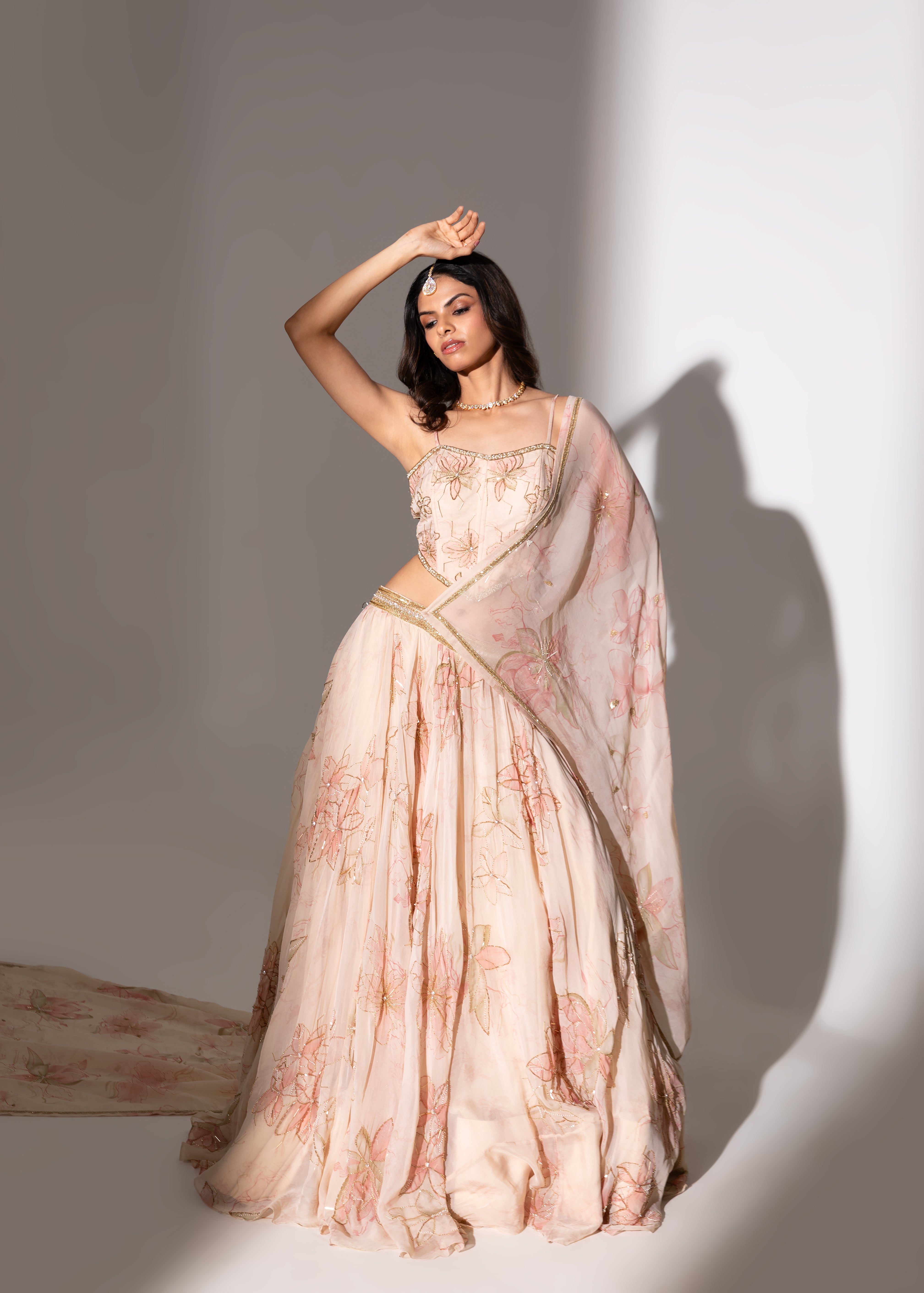 AKIRA Lehenga Set